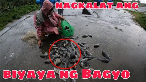 Habang Bumabagyo ay Bumabayo Din si Oyo.